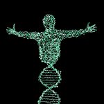 green berry dna test mens0health Essex Nutritionist Green Berry