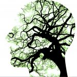 green berry mind health essex Essex Nutritionist Green Berry